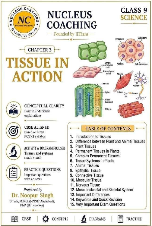 Class 9 Science – Tissues in Action Notes