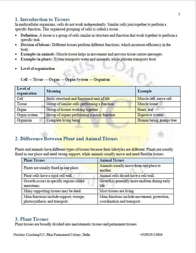 Class 9 Science – Tissues in Action Notes