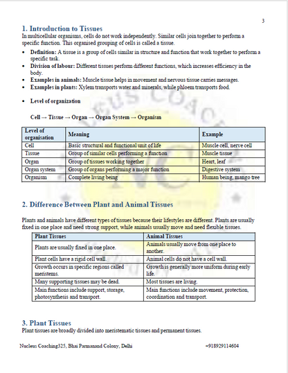 Class 9 Science – Tissues in Action Notes
