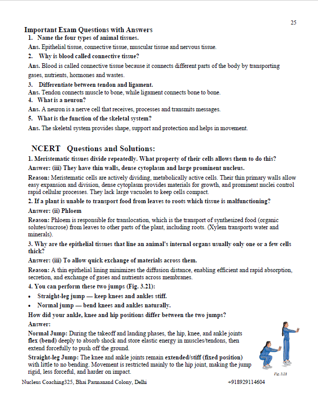 Class 9 Science – Tissues in Action Notes