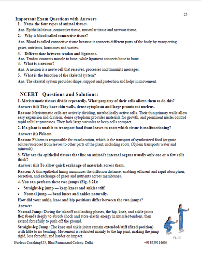 Class 9 Science – Tissues in Action Notes