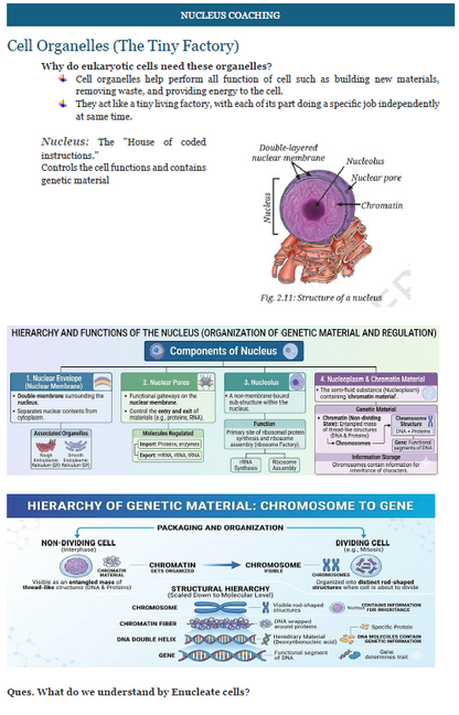 Class 9 Science – Cell: The Building Block of Life Notes